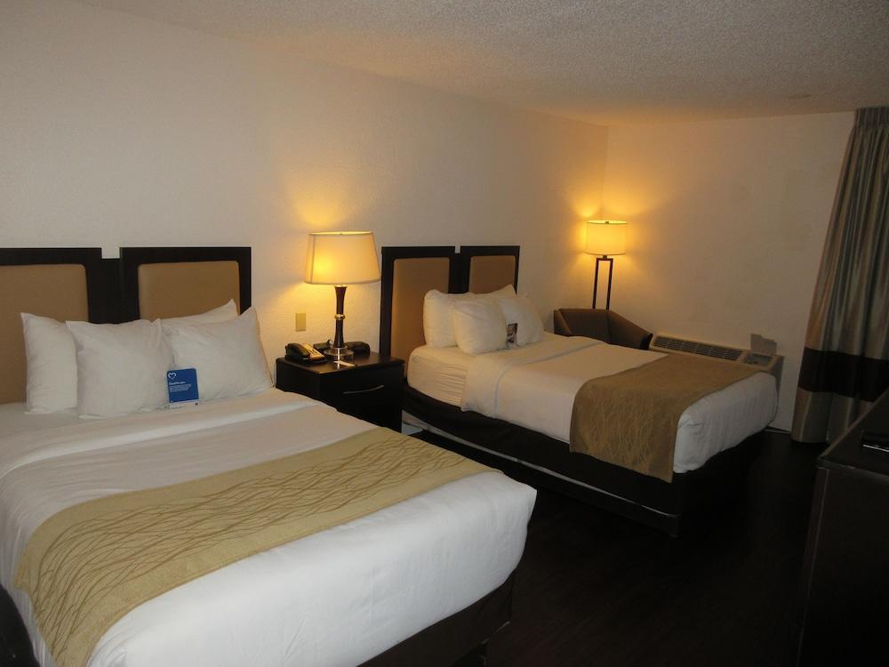 Comfort Inn Oceanside Deerfield Beach Bagian luar foto