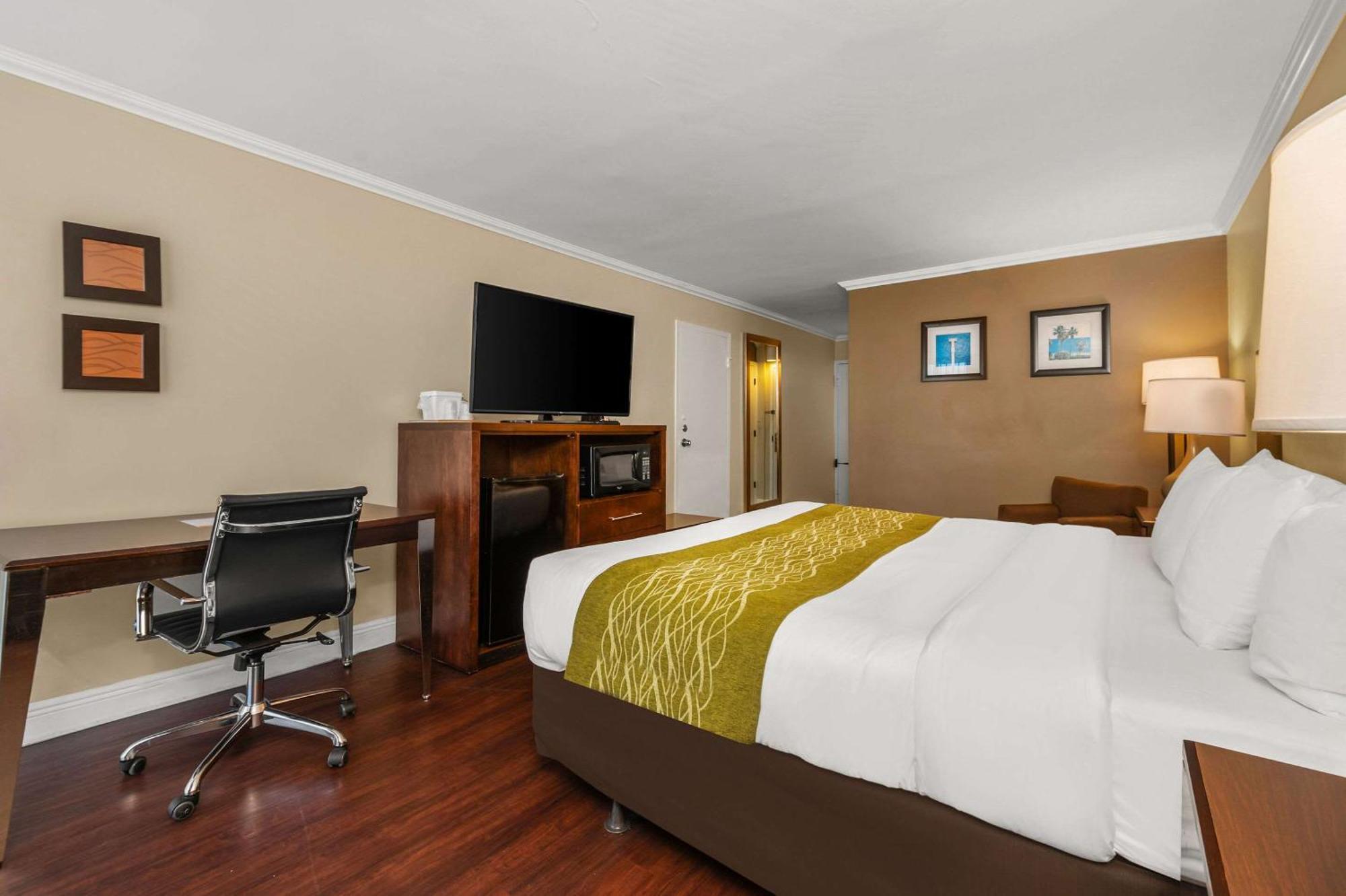 Comfort Inn Oceanside Deerfield Beach Bagian luar foto